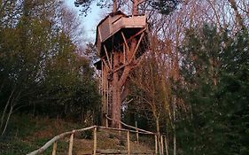 Sherwood Tree