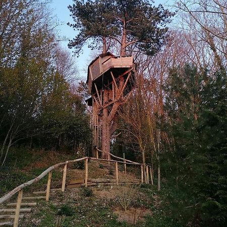 Sherwood Tree Étretat Extérieur photo