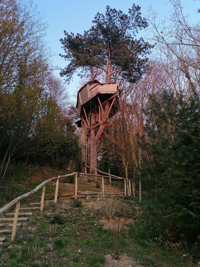 Sherwood Tree Étretat Extérieur photo