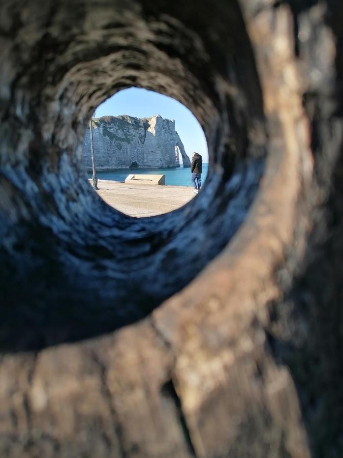 Sherwood Tree Étretat Extérieur photo